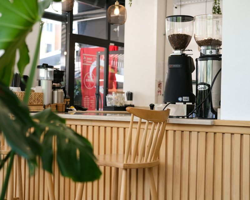 Coffee bar with plants and a wooden counter